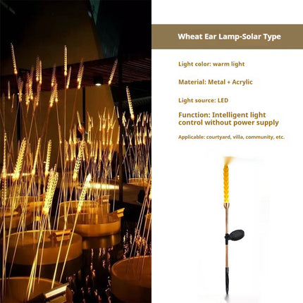 Solar Outdoor LED Plug Lawn Lamp