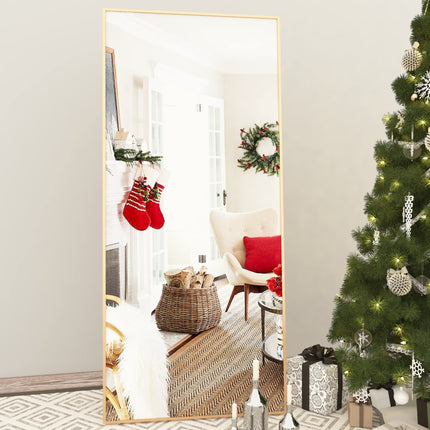 65" * 24 ", Floor Standing Mirror, Unique Vertical Mirror, Black Metal Frame Mirror