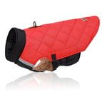 Red Black / M