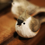 Tufted tit