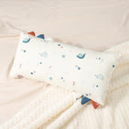 Snail Hedgehog / 36x20cm