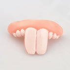 Rabbit Teeth