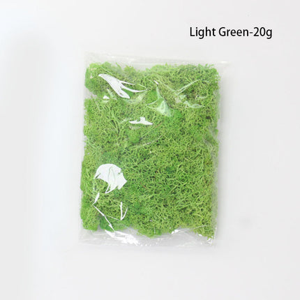 Immortal moss landscape flowers