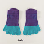 Blue And Purple / S