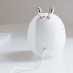Rabbit / 0.5W