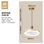 White Gold Color Ceiling Lamp
