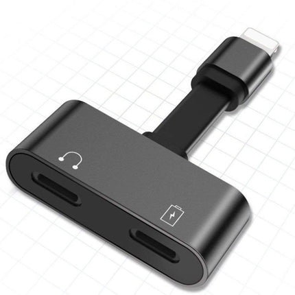 2 in 1 Lightning Adapter