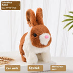 Color Matching Rabbit Brown
