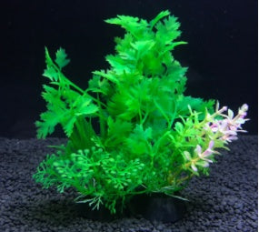 Large and small fish tank landscaping
