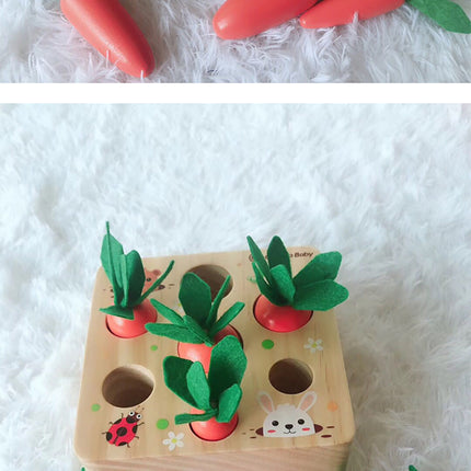Educational toys