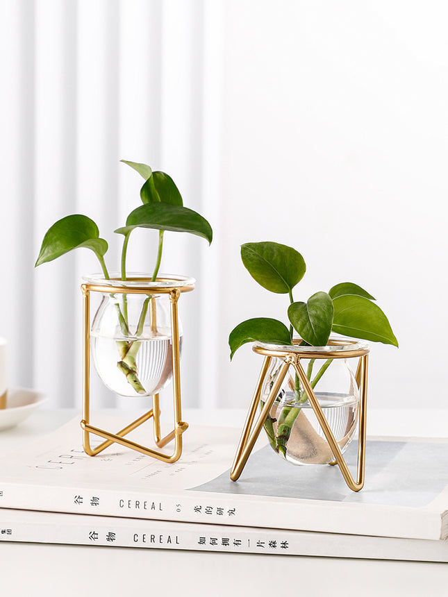 Office Green Planting TV Cabinet Home Decoration