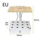 White / EU