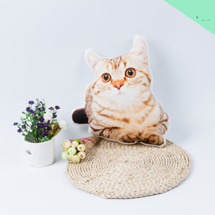 Diy Customized Pillow 3d Photos Customized Pet Pillow