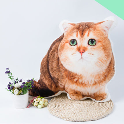 Diy Customized Pillow 3d Photos Customized Pet Pillow