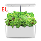 White / EU