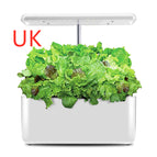 White / UK