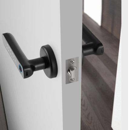 Zinc Alloy Smart Electric Fingerprint Door Handle