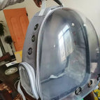 Transparent gray