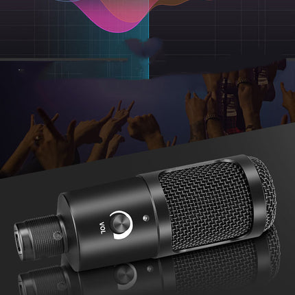 Notebook Computer Desktop Stand Set Recording Condenser Microphone