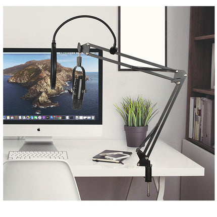 Microphone Anchor Live K Song Recording Tuning Desktop Mobile Computer