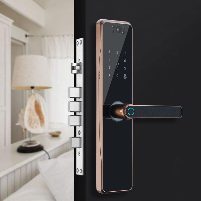Surveillance Camera Fingerprint Lock Graffiti  Home Password Lock Mobile Phone Video Anti-theft Door Electronic Lock