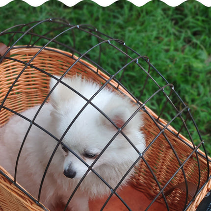 Rattan Bicycle Basket Rear Basket Pet Basket
