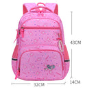 Pink / L