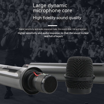 Household Wireless One-drag Two Moving Coil Microphone