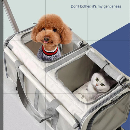 Double Compartment Detachable Travel Carrier for 2 Cats & Puppies - Spacious Pet Trolley with Ventilated Mesh & Removable Lining, Durable Wheels & Ergonomic Handle for Airplane Travel, Vet Visits, Road Trips