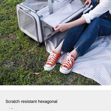 Double Compartment Detachable Travel Carrier for 2 Cats & Puppies - Spacious Pet Trolley with Ventilated Mesh & Removable Lining, Durable Wheels & Ergonomic Handle for Airplane Travel, Vet Visits, Road Trips