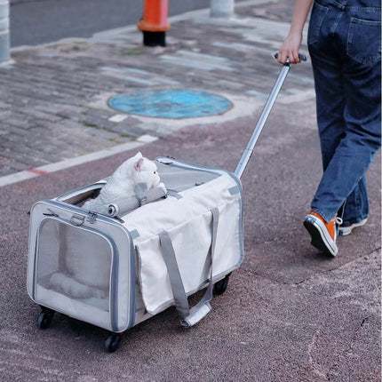 Double Compartment Detachable Travel Carrier for 2 Cats & Puppies - Spacious Pet Trolley with Ventilated Mesh & Removable Lining, Durable Wheels & Ergonomic Handle for Airplane Travel, Vet Visits, Road Trips