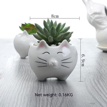 Creative Gardening Balcony Succulent Ceramic Flowerpot Decoration