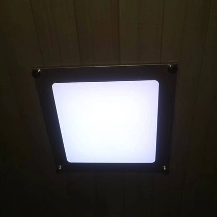 25077967