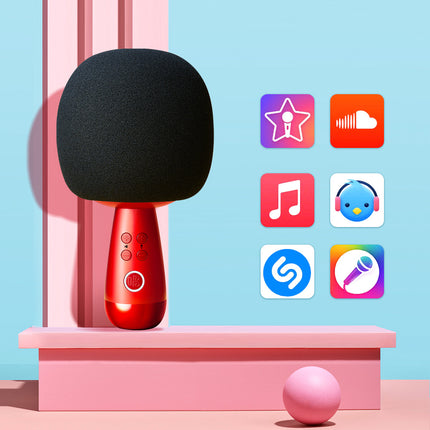 G2 Small Dome Microphone Home Bluetooth K Song