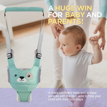 Baby Walker with Detachable Crotch & Adjustable Straps - Ergonomic Design for 9-24 Months, Green