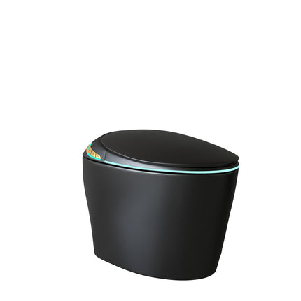 Unique Smart Toilet with Built-in Bidet, Auto Open/Close Seat, Foot Sensor, LED Display, Night Light, Warm Water & Dryer, Black Ceramic