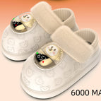 Beige 6000 MA / 35to36