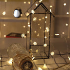 Snowflake / 2M20 / Battery