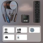 Apple Interface Version / Official Standard Version