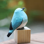 Blue Robin