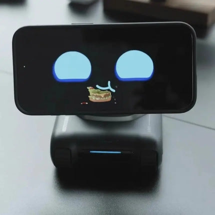 LOOI Robot DeepSeek A Large Model
