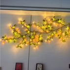 Camellia / 1.6 M 36 Lights