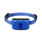 Blue / Star