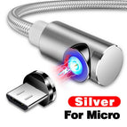 Silver / Micro / 2m