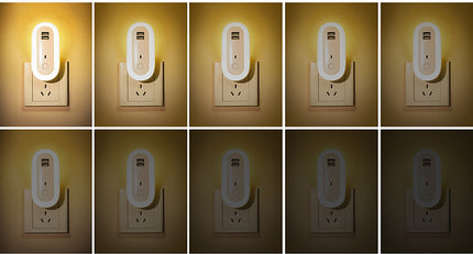 Oval Small Night Lamp With Dual USB Charging Port Remote Control Timing Plug-in Wall