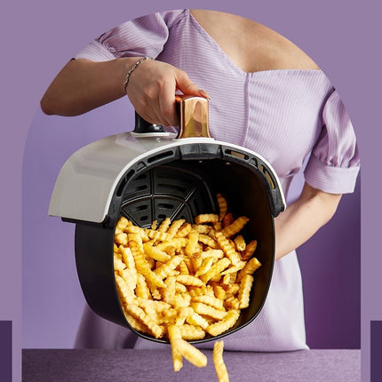 Intelligent Multifunctional Oil-free Large Capacity Electric Fryer