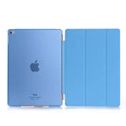 Blue / IPad mini4 single side
