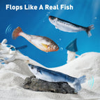 Three fish pack / Color Box