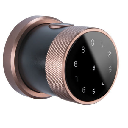 Indoor Fingerprint Password Lock Single Tongue Ball