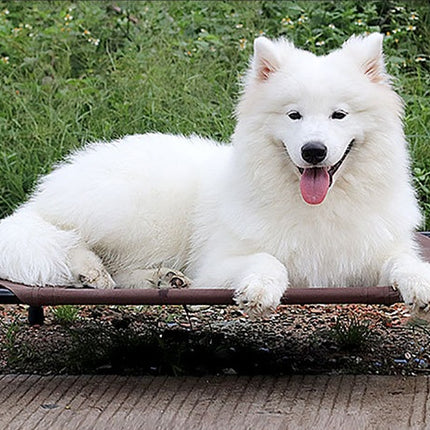 Pet bed dog moisture-proof removable washable stack dog bed Oxford cloth camp bed